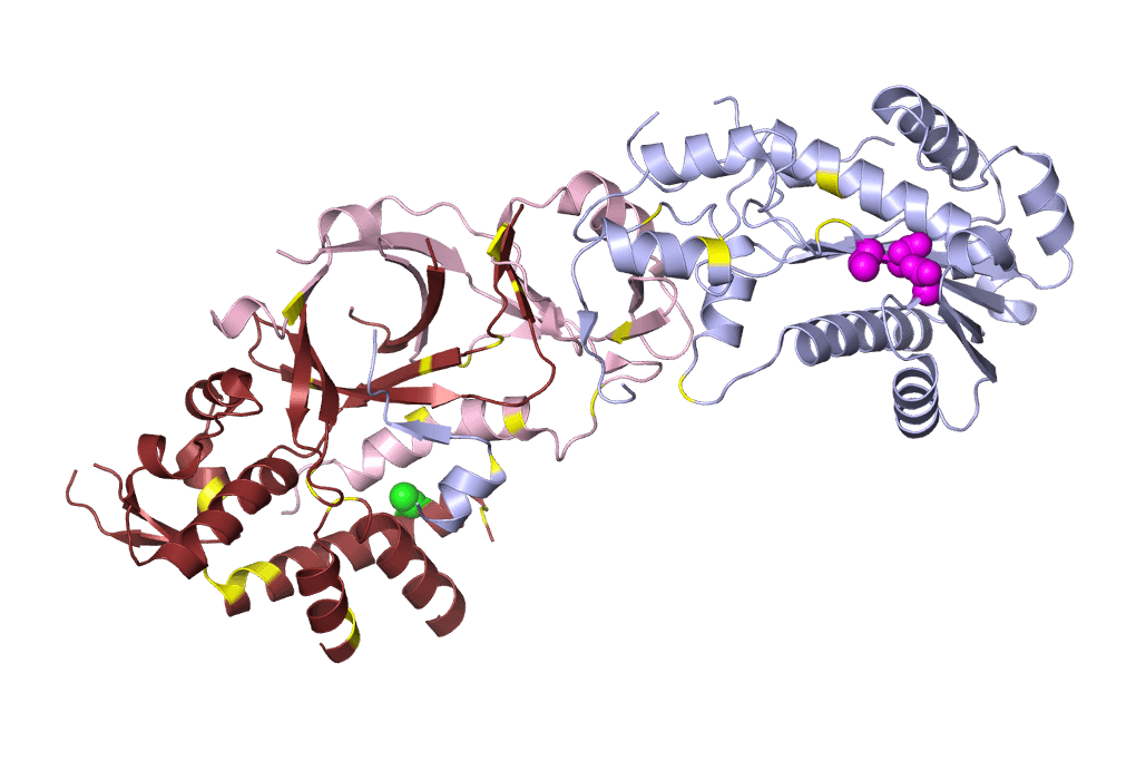 StemCellDaily Hero Section Image: A Protein Molecule